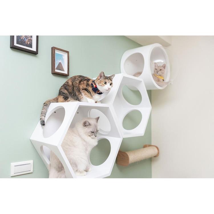 キャットウォーク キャットステップ 猫用品 ペット用品 猫家具 猫
