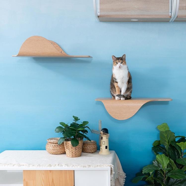 キャットウォーク キャットステップ 猫用品 ペット用品 猫家具 猫ベッド 壁掛け ペット共生 猫部屋 賃貸おすすめ STINGRAY MZ0045_12