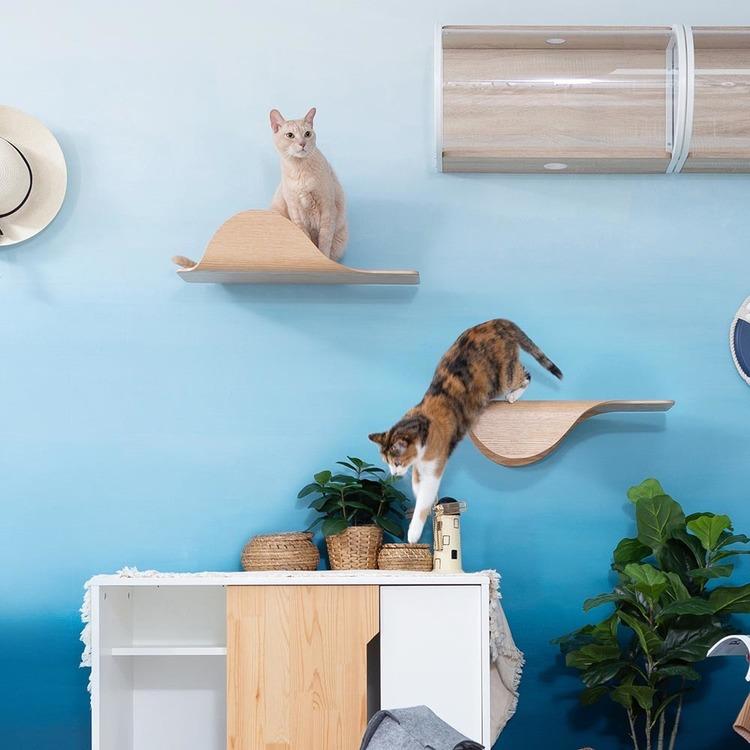 キャットウォーク キャットステップ 猫用品 ペット用品 猫家具 猫ベッド 壁掛け ペット共生 猫部屋 賃貸おすすめ STINGRAY MZ0045_13
