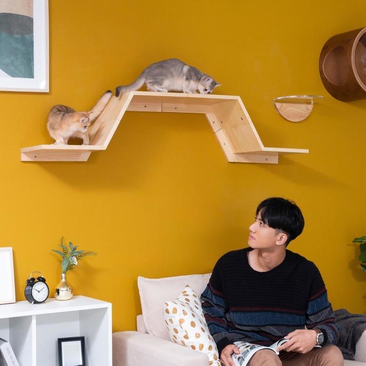 キャットウォーク キャットステップ 猫用品 ペット用品 猫家具 壁掛け シニア猫 ペット共生 猫部屋 短足猫 ZONE MZ0049_4