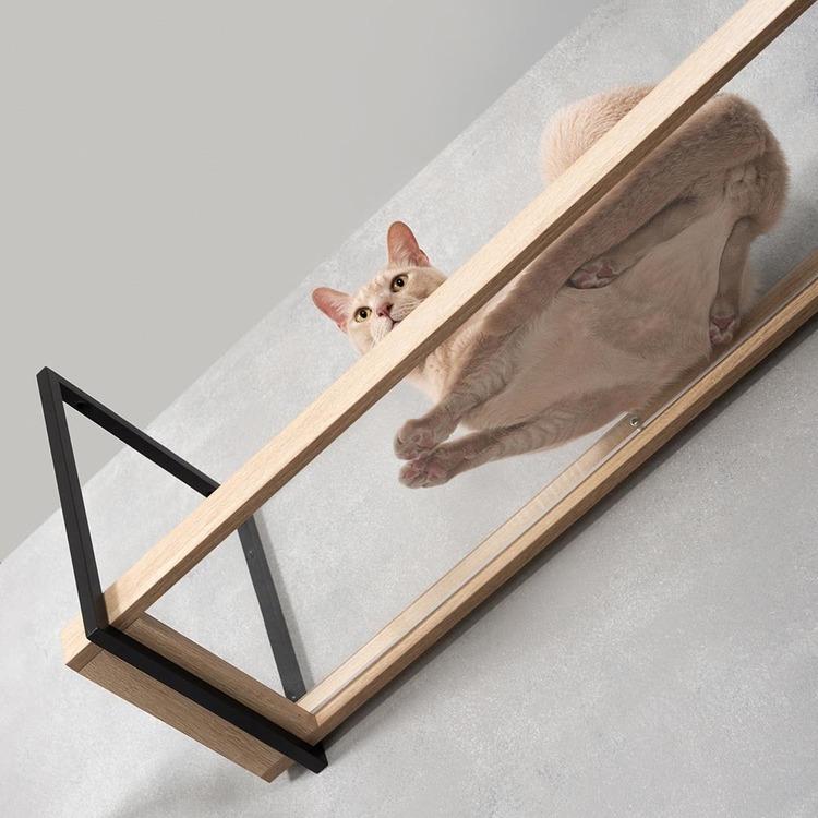 キャットウォーク キャットステップ 猫用品 ペット用品 猫家具 猫ベッド 壁掛け 天井吊り下げ スケルトン 透明 AVENUE MZ0052の画像