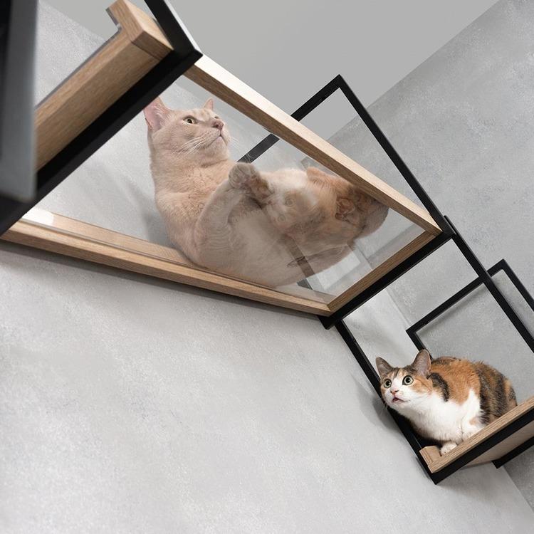 キャットウォーク キャットステップ 猫用品 ペット用品 猫家具 猫ベッド 壁掛け 天井吊り下げ スケルトン 透明 AVENUE MZ0052の画像
