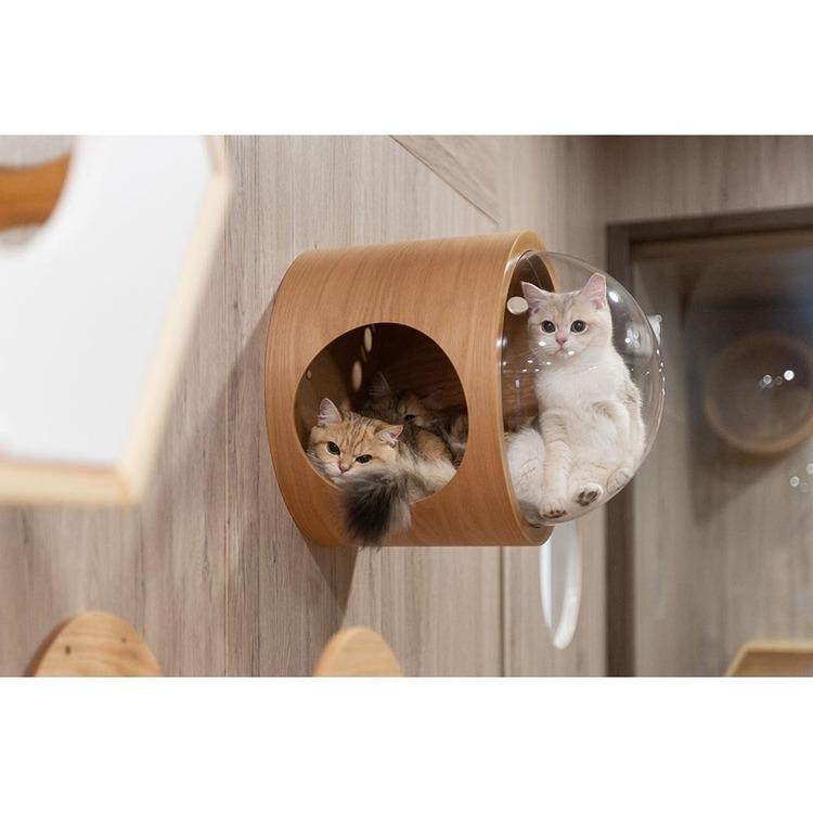 キャットウォーク キャットステップ 猫用品 ペット用品 猫家具 猫
