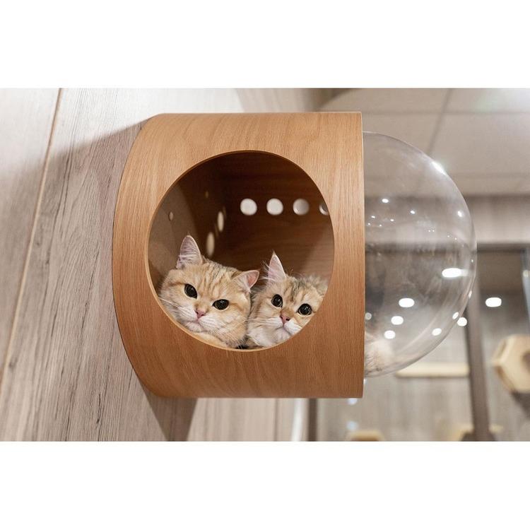 キャットウォーク キャットステップ 猫用品 ペット用品 猫家具 猫
