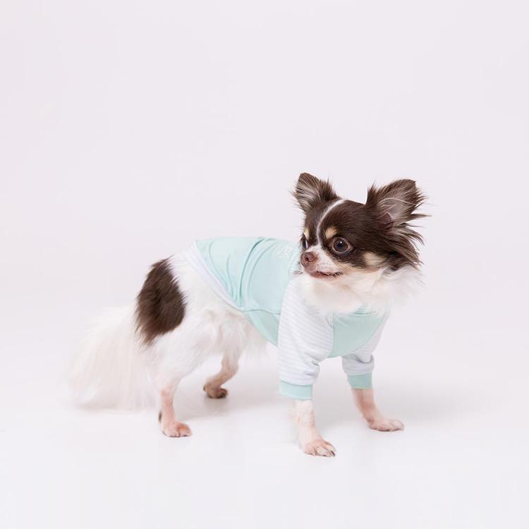 pipi 犬 服 夏 犬服 PiPi 防虫Tシャツ 1号〜5号 防虫対策 虫よけ 防