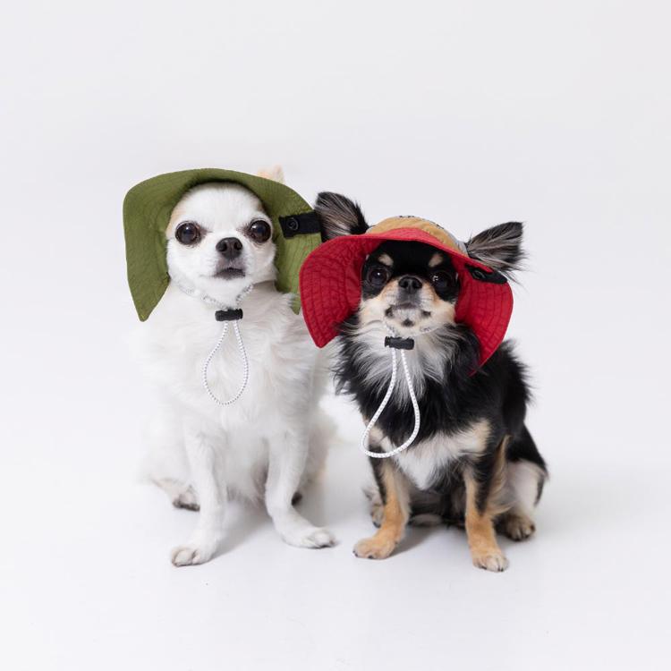 pipi 犬 帽子 夏 犬帽子 PiPi サファリハット Sサイズ おしゃれ 日除け