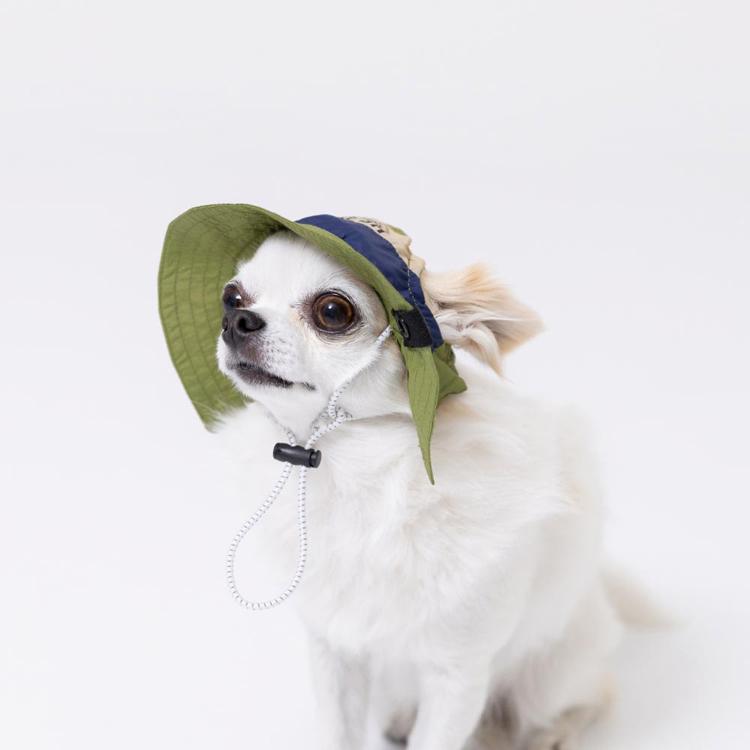 pipi 犬 帽子 夏 犬帽子 PiPi サファリハット Sサイズ おしゃれ 日除け