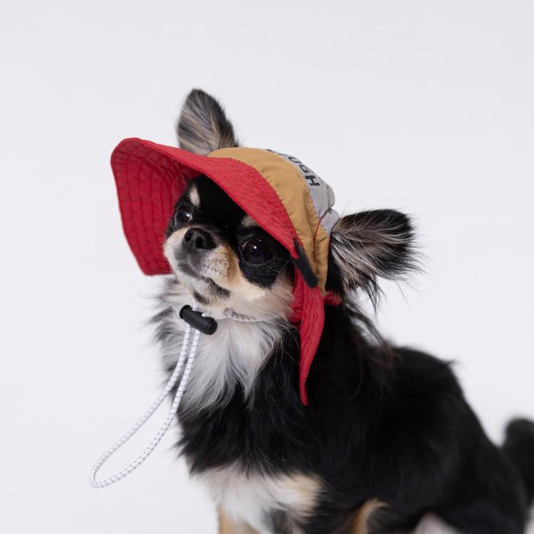 pipi 犬 帽子 夏 犬帽子 PiPi サファリハット Sサイズ おしゃれ 日除け