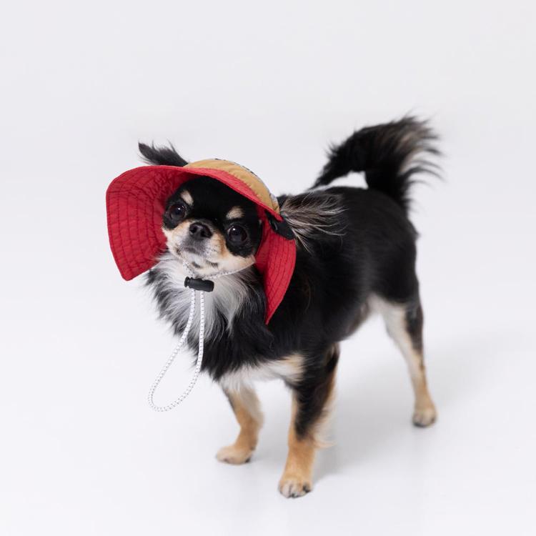 pipi 犬 帽子 夏 犬帽子 PiPi サファリハット Sサイズ おしゃれ 日除け