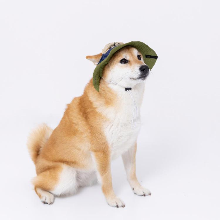 pipi 犬 帽子 夏 犬帽子 PiPi サファリハット Lサイズ おしゃれ 日除け
