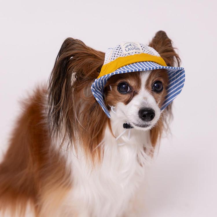 pipi 犬 帽子 夏 犬帽子 PiPi ヒッコリーハット Mサイズ おしゃれ