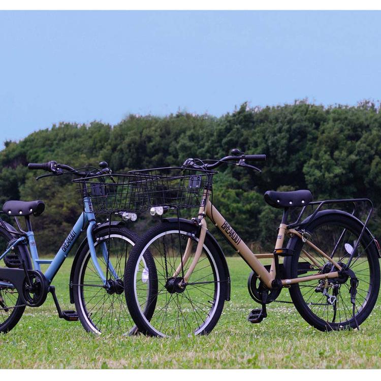 自転車 26インチ オートライト 外装6段変速 坂道 カッコイイ (完成車)ブレイクアウト・ジュニア 26インチ ジュニアサイクル BRO266HDA (代引不可) (TD)_12