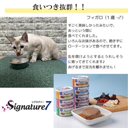 Signature7（シグネチャー7） ウイークリーパック パティタイプ 80g×7