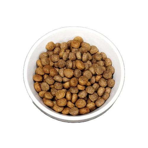 FORZA10（フォルツァディエチ） ドッグ デイリーフォルツァ ローグ