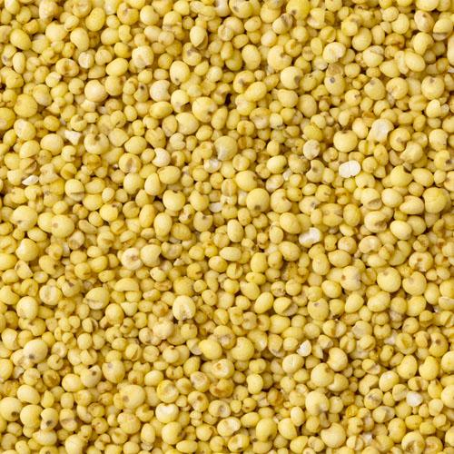 黒瀬ペットフード シード食専用サプリメント 食べるビタミン 80g : PET