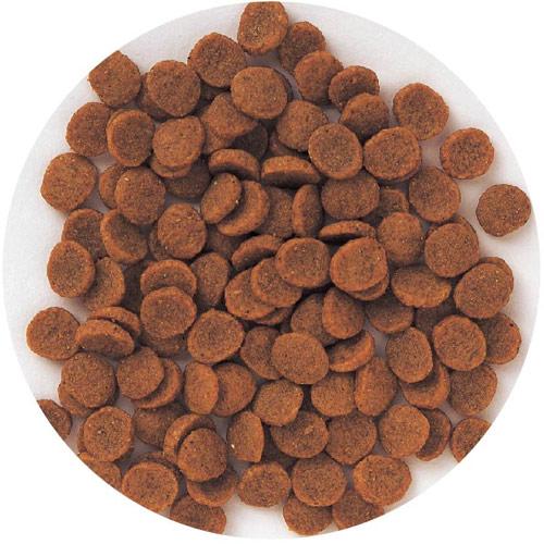 スーパーゴールド フィッシュ&ポテト子犬・成犬用 2.4kg × 4個セット [森乳サンワールド]_1