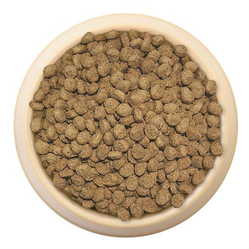 スーパーゴールド おなかラボ 体重調整用 800g × 12個セット [森乳サンワールド]_1