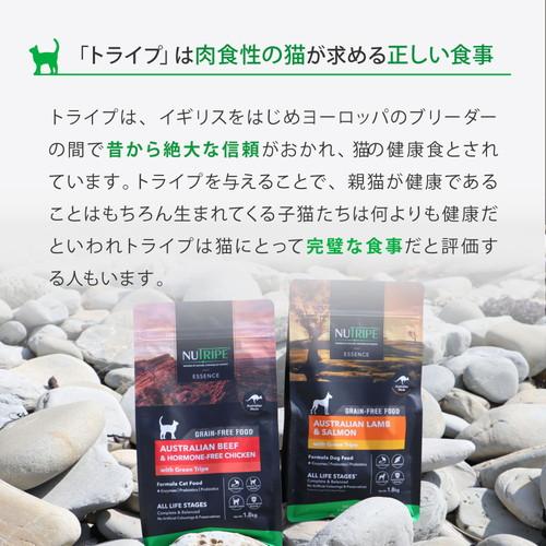 NUTRIPE（ニュートライプ） グレインフリードライ キャット ビーフ