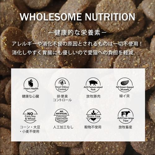NUTRIPE（ニュートライプ） グレインフリードライ キャット ビーフ