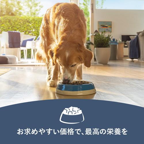 ジーウィーピーク スチーム&ドライ・ドッグフード ビーフ 3.2kg ×2個
