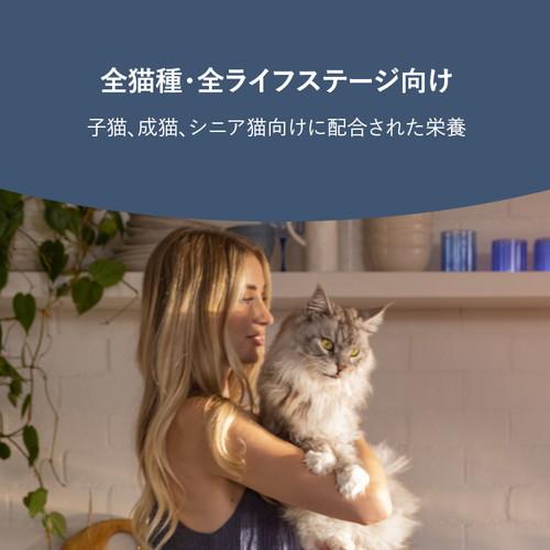 ジーウィーピーク スチーム&ドライ・キャットフード ビーフ 2.2kg