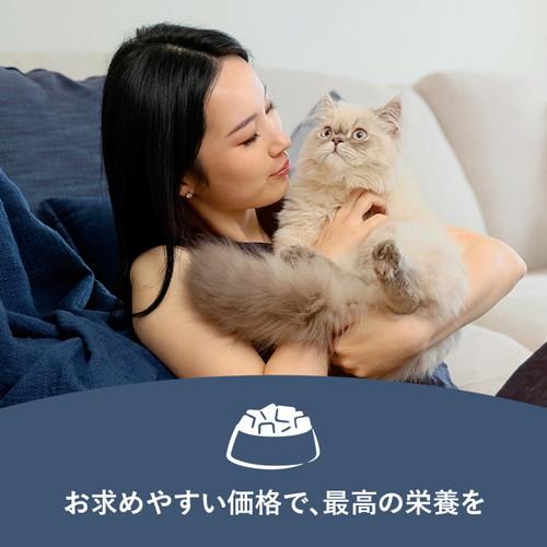ジーウィーピーク スチーム&ドライ・キャットフード ビーフ 2.2kg