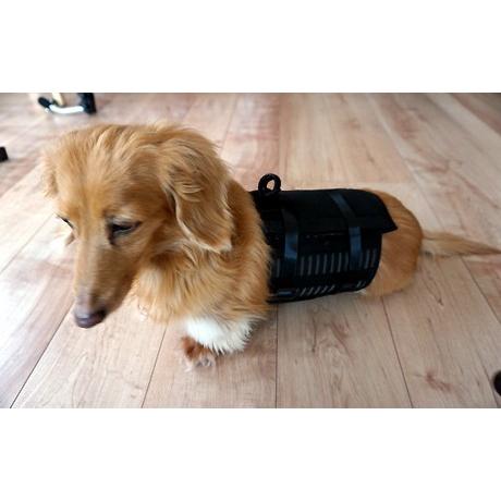 犬用コルセット 猫用コルセット サイズ 大 Corset L ペットラボ ヤフー店 通販 Yahoo ショッピング