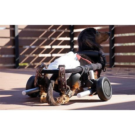犬用車椅子・猫用車椅子 - サイズ: XXXL｜petlab｜06