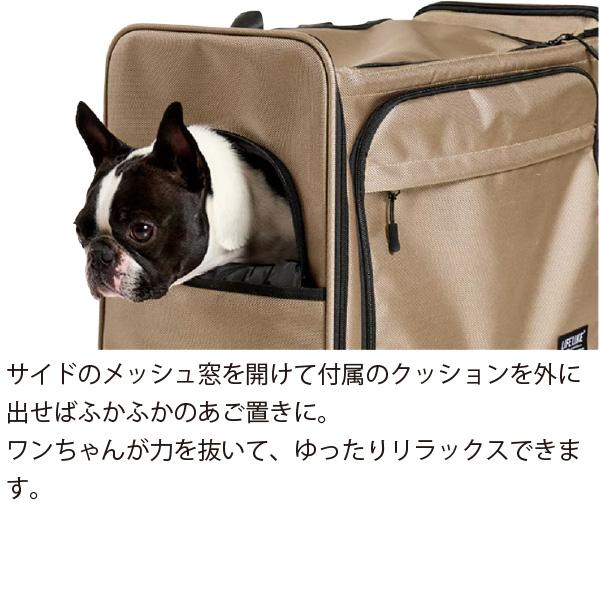 LIFELIKE（ライフライク） ボイジャーバックパック キャリー バッグ お