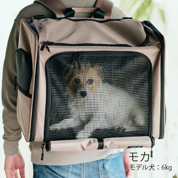 LIFELIKE（ライフライク） ボイジャーバックパック キャリー バッグ お