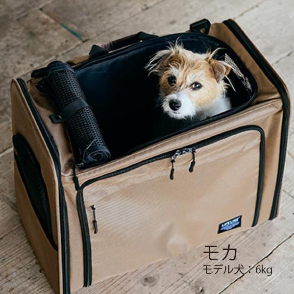 LIFELIKE（ライフライク） ボイジャーバックパック キャリー バッグ お