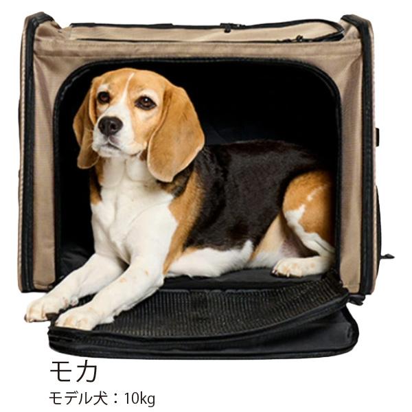 LIFELIKE（ライフライク） ボイジャーバックパック キャリー バッグ お