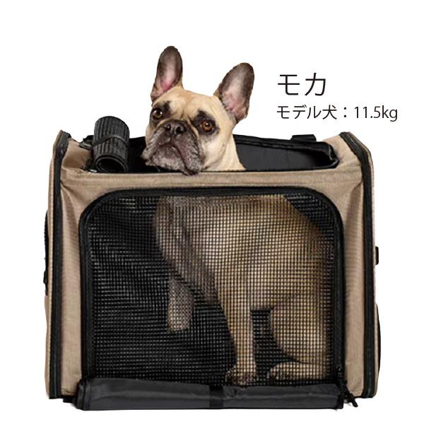 d*i❗️Lifelike ライフライク犬用リュック２WAYボックスキャリー Amazon.co.jp: 【LIFELIKE公式】2WAYボックスキャリー 犬 バックパック