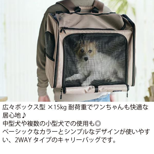 LIFELIKE（ライフライク） ボイジャーバックパック キャリー バッグ お