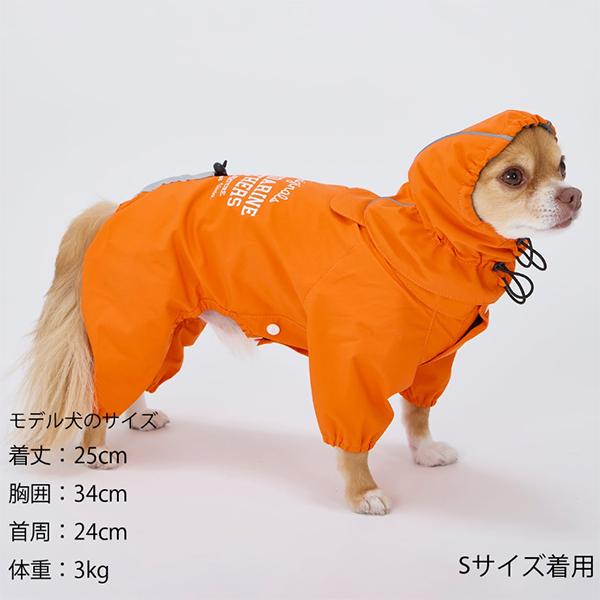 雨の日でもお散歩が欠かせない外派のワンちゃん必須アイテム