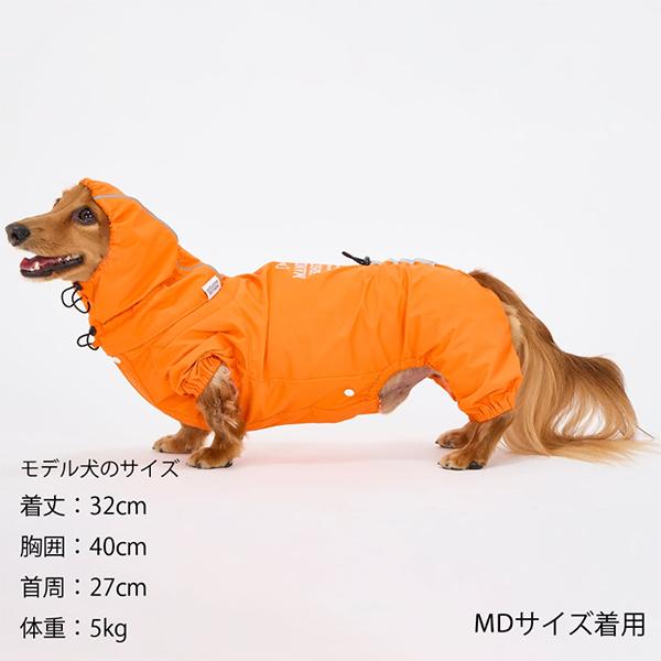 雨の日でもお散歩が欠かせない外派のワンちゃん必須アイテム