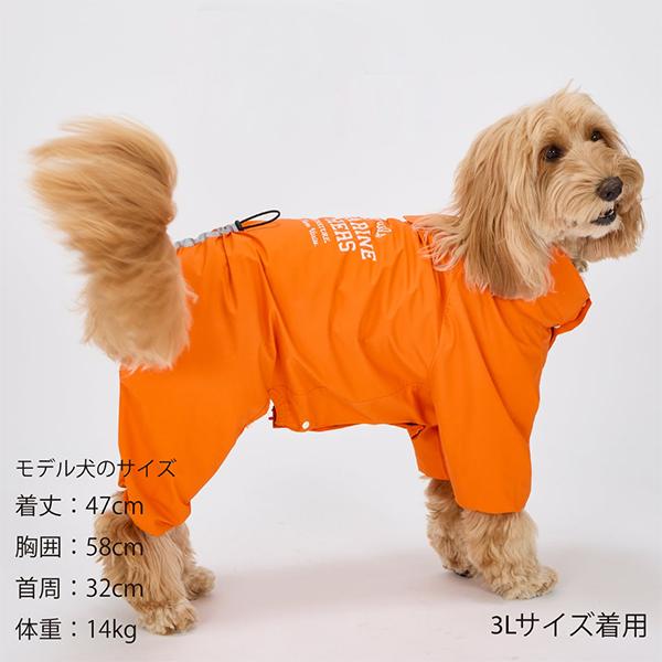 雨の日でもお散歩が欠かせない外派のワンちゃん必須アイテム