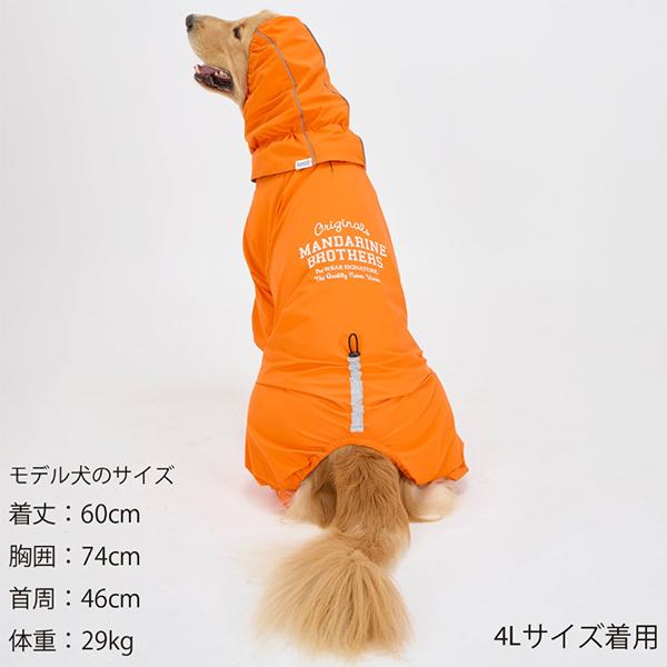 雨の日でもお散歩が欠かせない外派のワンちゃん必須アイテム