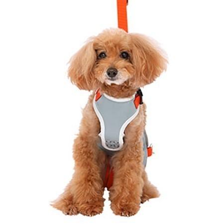 送料無料!! 小型犬用歩行補助ハーネス ララウォーク・グレー