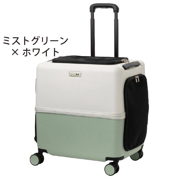 完売品BE THE LABEL 犬用キャリーバッグ オリーブグリーン オリーブ