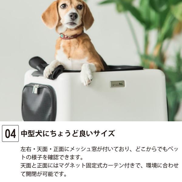 公共交通機関も乗れるペットキャリーiCOがリニューアル 送料無料!! M