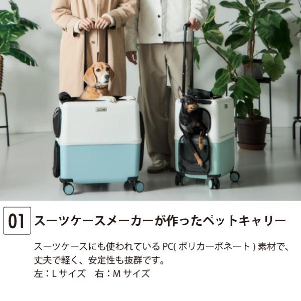 公共交通機関も乗れるペットキャリーiCOがリニューアル 送料無料!! M