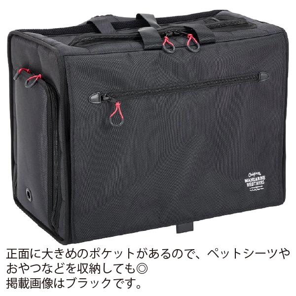 ブリクストンキャリーバックパック Lサイズ BRIXTON CARRY BACKPACK ブリクストンキャリーバックパック