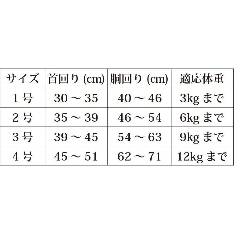 メール便無料 Amo.k(アモワークス) ペイズリーハーネス(2号) 首輪 胴輪