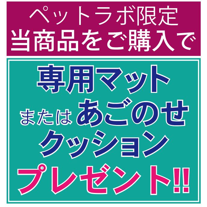 正規保証付き 送料無料 ご購入特典あり Airbuggy For Pet エアバギーフォーペット ドーム3 ラージ カカオ Lサイズ Ab Dome3 Cacao ペット用品通販ペットラボ 通販 Yahoo ショッピング