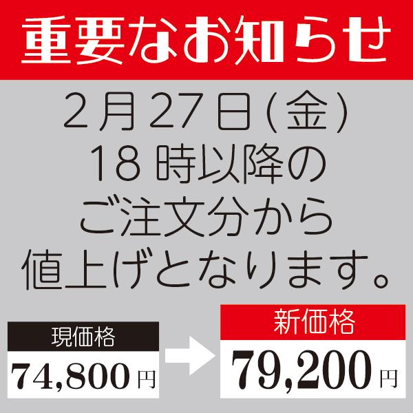 AIRBUGGY（エアバギー） 購入特典付き!! ドーム3ラージサイズ(アース