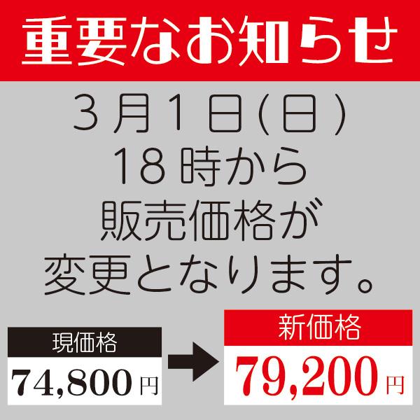 AIRBUGGY（エアバギー） 購入特典付き!! ドーム3ラージサイズ