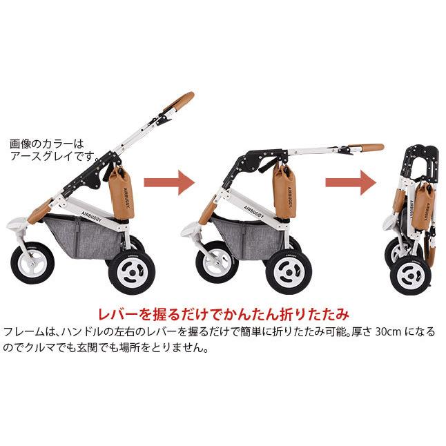 AIRBUGGY（エアバギー） ドーム3レギュラーサイズ(チェダー) フレーム