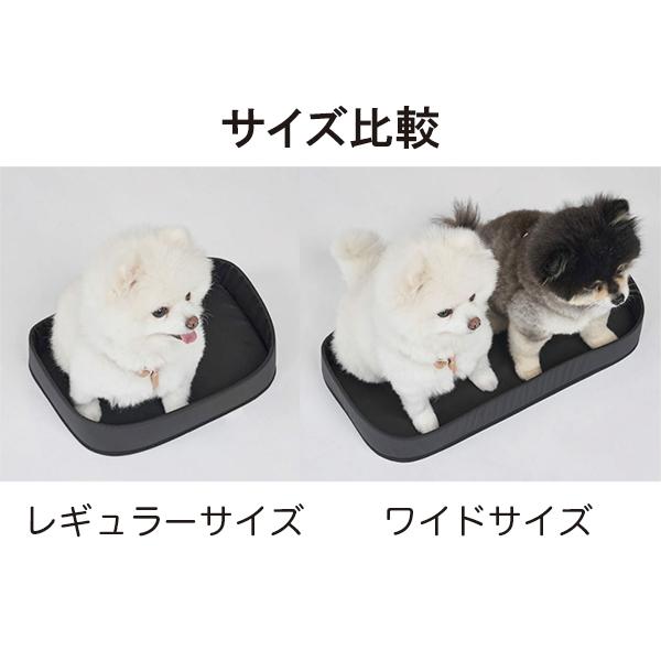 AIRBUGGY（エアバギー） 3ウェイバックパックキャリーワイド(ブラック