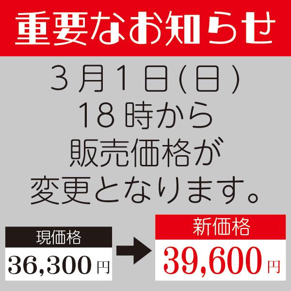 AIRBUGGY（エアバギー） 即納できます!! AIRBUGGY FITT wiz X(フィット